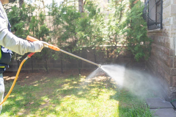 Insect Control in Eureka, IL
