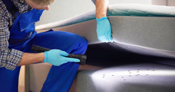 Best Pest Control Near Me  in Eureka, IL