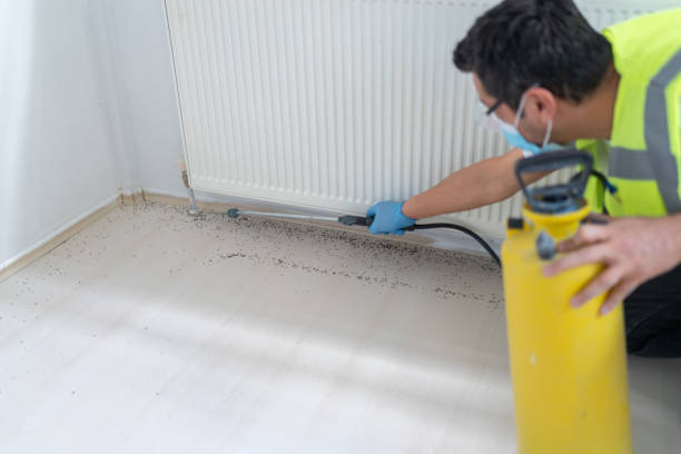 Best Pest Prevention Services  in Eureka, IL