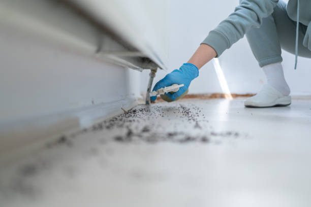 Best Rodent Control Near Me  in Eureka, IL