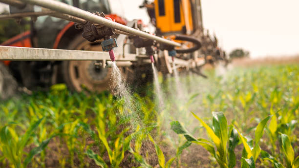 Best Insect Control  in Eureka, IL