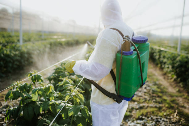 Best Affordable Pest Control Services  in Eureka, IL